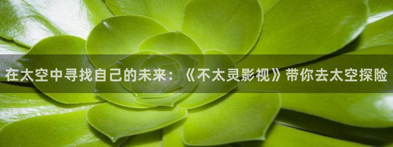 桃花影视在线免费观看