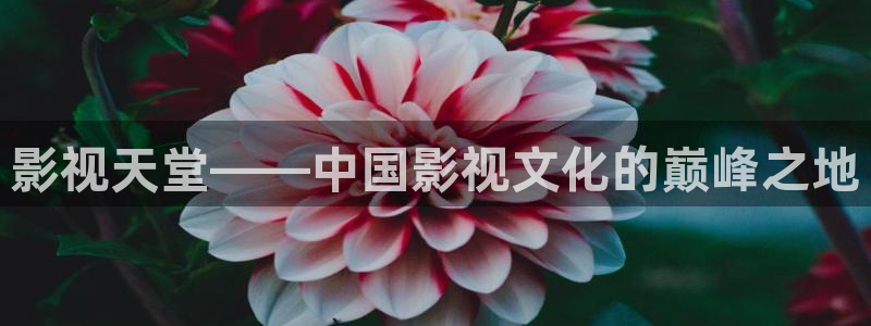 桃花电影版
