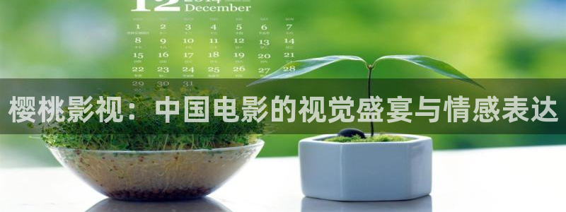 桃花成视频人app