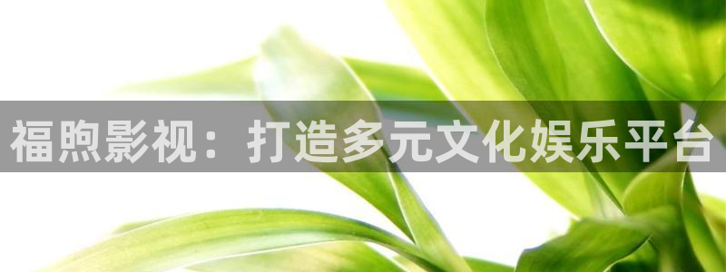 桃花网在线播放
