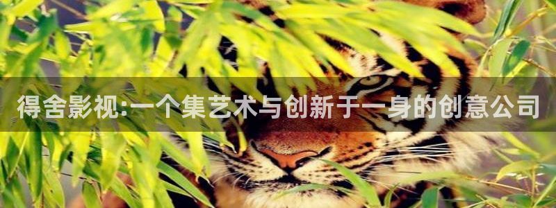 桃花影院电视剧在线播放免费